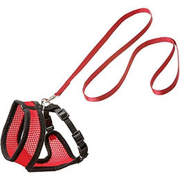 Karlie Kätzchengeschirr und Leine Harms rot-schwarz Größe S – Bild 1 von 11