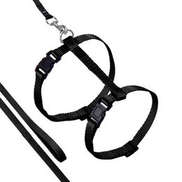 Karlie Katzengeschirr Sportiv Plus mit Leine Schwarz verstellbar - 110 cm – Bild 1 von 3