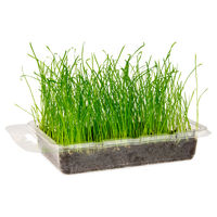 Produktbild von Karlie Katzengras Vital Bio für Katzen zur Unterstützung der Haarballenregulierung 150ml