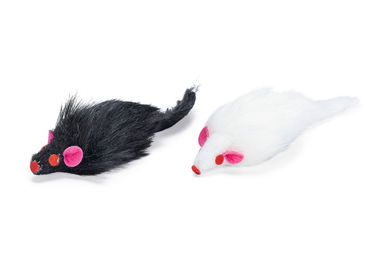 Karlie Katzenspielzeug Plüschmäuse Whity mit Catnip 2er Pack 12 cm – Bild 1 von 11