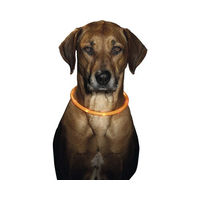 Produktbild von Karlie LED Schlauchhalsband Orange 70 cm - 70 cm