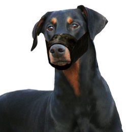 Karlie Maulkorb aus Nylon für große Hunde in Schwarz Größe L - 1 Stk. – Bild 1 von 4