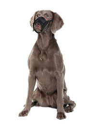 Karlie Maulkorb Comfort Fleece Schwarz Größe L – Bild 1 von 7
