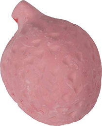 Karlie Nagerstein Tutti Frutti Erdbeere 25 g - 25 g – Bild 1 von 2