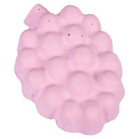 Produktbild von Karlie Nagerstein Tutti Frutti Weintraube 50 g - 50 g