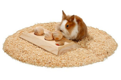 Karlie Rody Brain Train Board Intelligenzspielzeug aus Holz für Meerschweinchen und Kaninchen – Bild 1 von 1