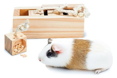 Karlie Rody Brain Train Cube Intelligenzspielzeug aus Holz für Nager in Natur – Bild 1 von 3