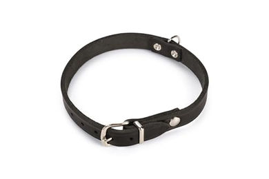 Karlie Rondo Halsband aus Kunstleder genietet Schwarz Größe L 42 cm x 16 mm – Bild 1 von 2
