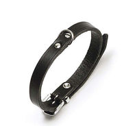 Produktbild von Karlie RONDO Halsband genietet Schwarz 18 mm 47 cm