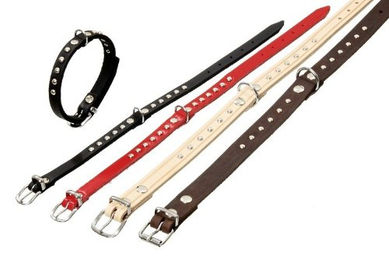 Karlie Rondo Halsband mit Ziernieten aus Kunstleder in Rot Größe S 32 cm x 10 mm – Bild 1 von 1