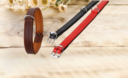 Karlie Rondo Hundehalsband aus Echtleder Schwarz Größe S 32cm – Bild 1 von 4