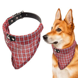 Karlie Rondo Hundehalsband aus Leder mit Halstuch Rot 57 x 2 cm – Bild 1 von 2