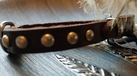 Karlie Rondo Hundehalsband aus Leder mit Ziernieten Braun Größe XS 24 cm - 24 cm – Bild 1 von 3