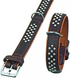 Karlie Rondo Hundehalsband mit Rundkopfnieten braun Breite 22 mm Länge 37 cm – Bild 1 von 2