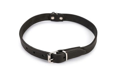 Karlie Rondo Lederhalsband für Hunde Schwarz Größe L – Bild 1 von 4