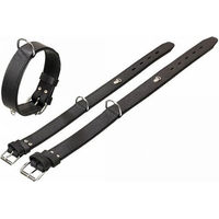 Produktbild von Karlie Rondo Lederhalsband mit Ring für Adresstube Schwarz 51,5-61,5 cm