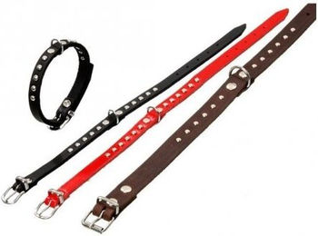 Karlie RONDO Lederhalsband mit Ziernieten Braun 52cm x 20mm – Bild 1 von 1