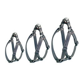 Karlie Rondo Step and Go Führgeschirr aus Leder Schwarz Größe XS – Bild 1 von 2