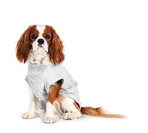 Karlie Safety Body Schutzanzug für Hunde aus Baumwolle Grau 36 cm - 1 Stk. – Bild 1 von 2