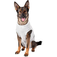 Produktbild von Karlie Safety Body Wundschutz für Hunde Grau 64cm - 1 Stk.