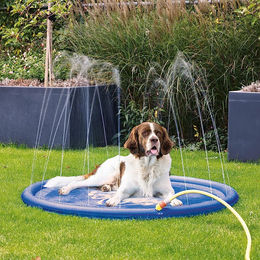 Karlie Splashy Sprinklermatte für Hunde Blau Durchmesser 130 cm - 522 g – Bild 1 von 9