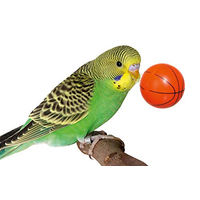Produktbild von Karlie Streetball Vogelspielzeug aus Holz in Natur und Orange