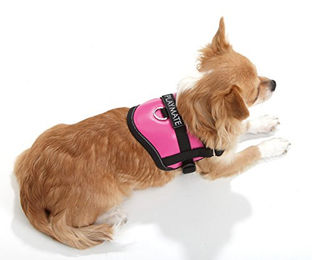 Karlie Teeny Weeny Hundegeschirr aus Nylon XS Schwarz-Weiß - 1 Stk. – Bild 1 von 2