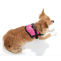 Produktbild von Karlie Teeny Weeny Hundegeschirr aus Nylon XS Schwarz-Weiß - 1 Stk.
