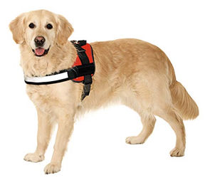 Karlie Xtreme No Limit Hundegeschirr XL Schwarz Wasserabweisend Breite 50 mm Umfang 80 - 100 cm – Bild 1 von 2