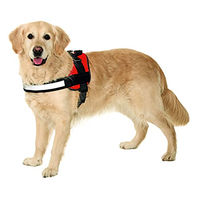 Produktbild von Karlie Xtreme No Limit Hundegeschirr XS Schwarz wasserabweisend 25 mm Breite 44-50 cm Umfang