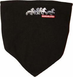 Karlslund Halswärmer aus Fleece in Schwarz für Damen und Herren – Bild 1 von 2