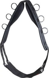 Produktbild von Karlslund Nylon Longiergurt für Pferde in Schwarz