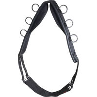 Produktbild von Karlslund Nylon Longiergurt für Pferde in Schwarz