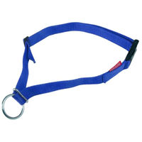 Produktbild von Karlslund Sicherheitshalsband für Pferde aus Nylon in Blau