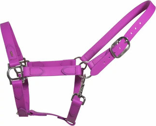 Produktbild von Karlslund SuperStrap Biothane Halfter für Pferde in Lila
