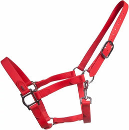 Produktbild von Karlslund SuperStrap-Halfter aus Biothane für Pferde in Rot mit Chrom-Elementen