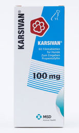 Karsivan 100mg Filmtabletten 60 Stück – Bild 1 von 1