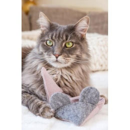 Kater Kasimir 3er Set Mausbert Spielmaus für Katzen aus Bio-Baumwolle mit Katzenminze, Baldrian und Matatabi – Bild 1 von 2