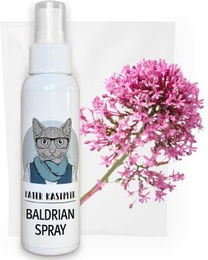 Kater Kasimir Baldrian Spray für Katzen 100 ml - 100 ml – Bild 1 von 2