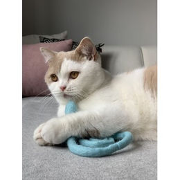 Kater Kasimir Katzenspielzeug Filzschlange XL aus Wollfilz Grau 50cm - 50 cm – Bild 1 von 2