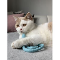 Produktbild von Kater Kasimir Katzenspielzeug Filzschlange XL aus Wollfilz Grau 50cm - 50 cm