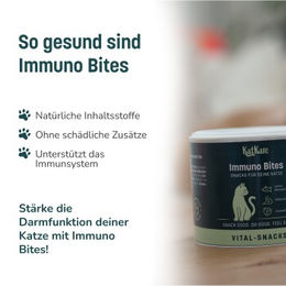 Produktbild von KatKare Vital Snacks Immuno Bites Lachs Knusperkissen für Katzen zur Immunstärkung 3x150 g