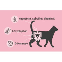 Produktbild von KatKare Vital Snacks Urinary Ease Lachs Knusperkissen für Katzen zur Unterstützung der Harnwege 2x150 g