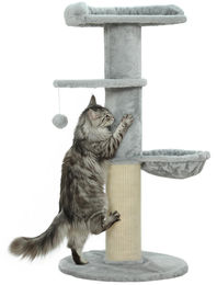 Katzenbaum mit Sisal-Kratzmatte, Hängematte, Plattform und Spielball in Hellgrau 48 x 103,5 cm – Bild 1 von 1