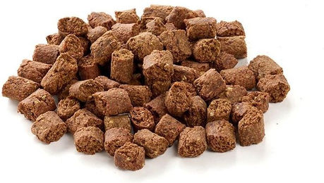 Kauartikel.com Insekten Snack – Bild 1 von 1