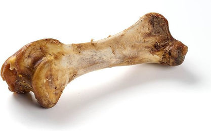 Kauartikel.com Straußen-Knochen XXL für Hunde – Bild 1 von 1