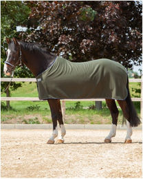 Kavalkade Abschwitzdecke Ecoline aus Polyester in Grün 135 cm – Bild 1 von 2