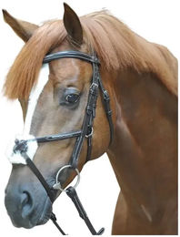 Produktbild von Kavalkade Diandro Leder Trense für Ponys in Schwarz oder Braun