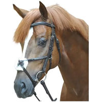 Produktbild von Kavalkade Diandro Leder Trense für Warmblut in Schwarz oder Braun