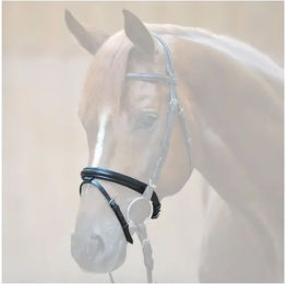Kavalkade Flash Reithalfter aus Leder für Ponys in Schwarz oder Braun – Bild 1 von 2